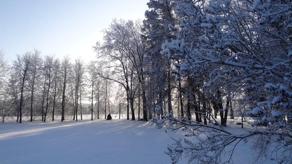 Aplinka žiemą