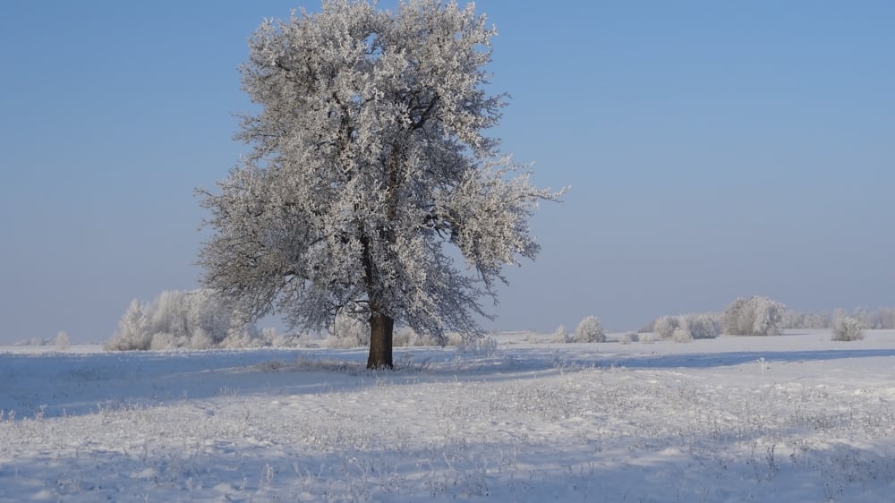 Aplinka žiemą