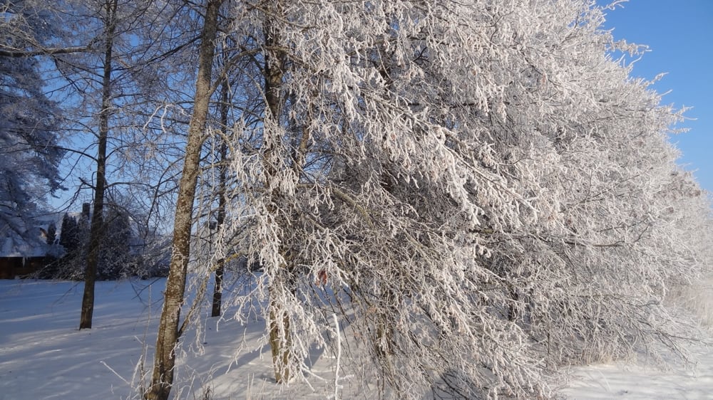 Aplinka žiemą