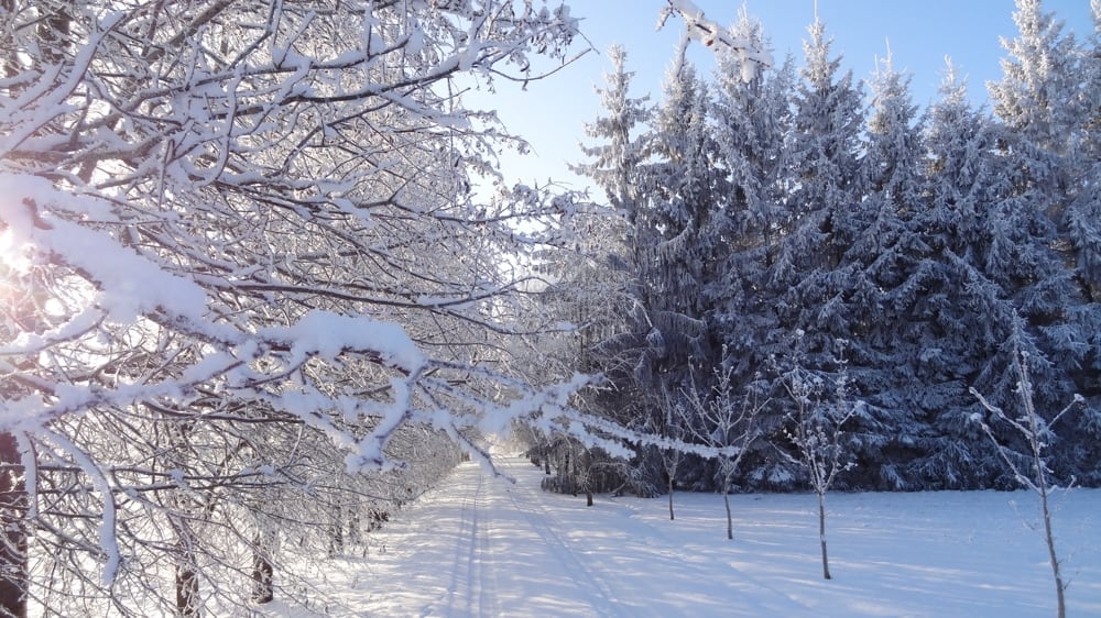 Aplinka žiemą