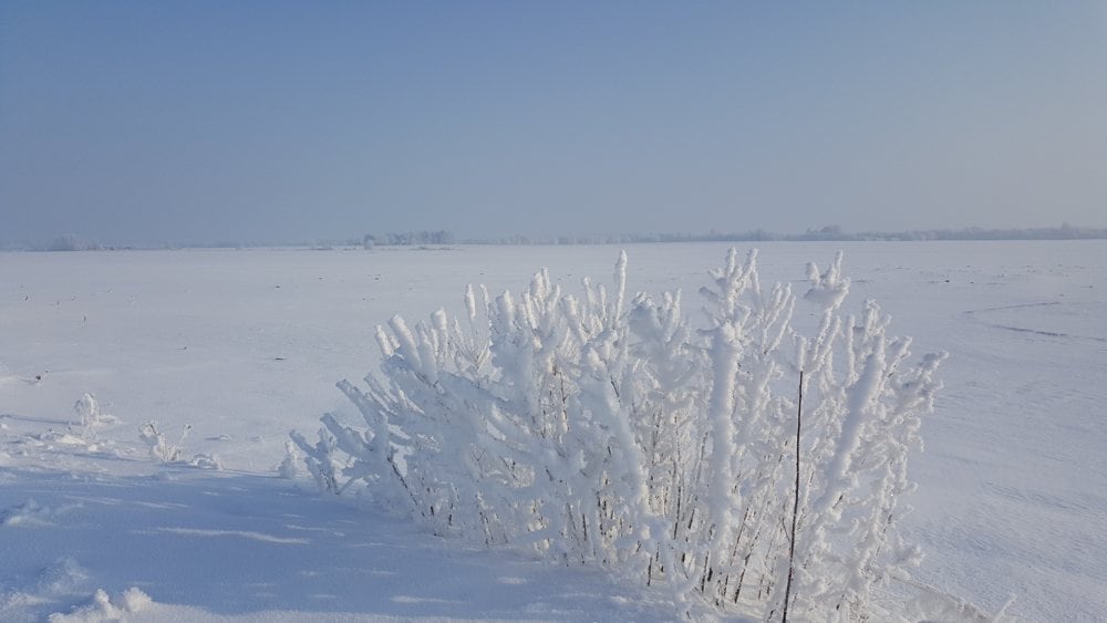 Aplinka žiemą