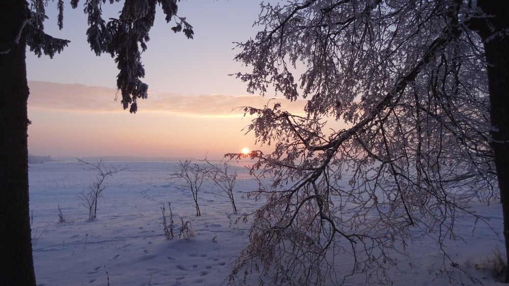 Aplinka žiemą